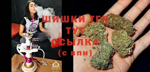 дмт Лагань