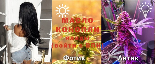 дмт Лагань