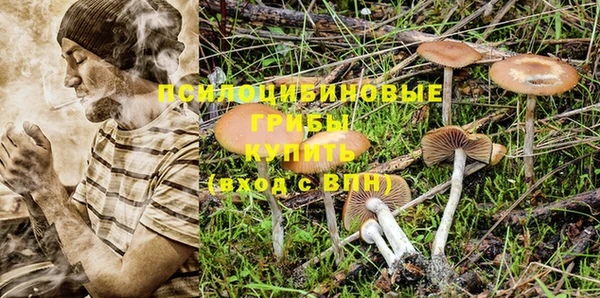 дмт Лагань