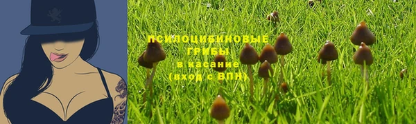 дмт Лагань