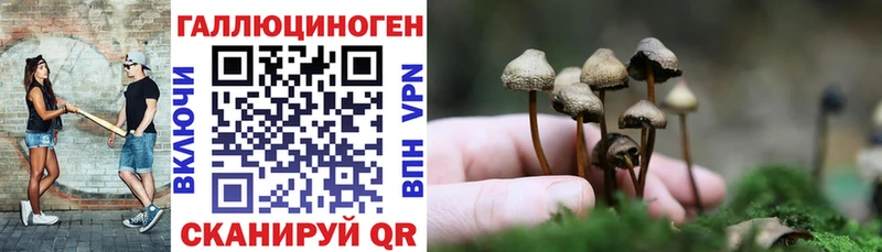 Псилоцибиновые грибы GOLDEN TEACHER  купить наркотики цена  OMG как зайти  Зуевка 