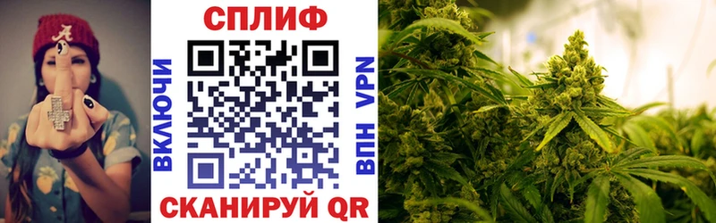 Бошки марихуана ГИДРОПОН  продажа наркотиков  Зуевка 